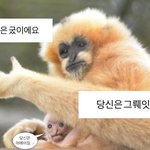 제발 <b>웅</b><b>니</b> 그만햇으면,,