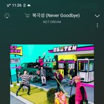 [NCT드림] 런쥔이가 고양이인 이유