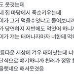 [NCT드림] 이거 너무 <b>웃기당</b>ㅋㅋㅋㅋ