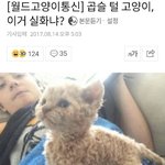 [댓글부탁해] 나 지금남자친구랑 지금까지 11번헤어짐