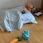 <b>니</b><b>넨</b> 야빠 그런 거 하지마라