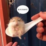 [드루와] 일어나자마자 <b>창문</b>보고 조카 놀랬네;