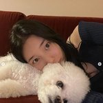 수지 강아지 <b>시집</b>가야지.jpg