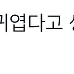 [NCT드림] 솔직히 ㅇㅈ