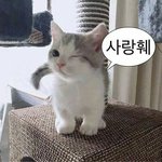 [드루와] 친해지고 싶은 친구 특징 적어<b>보자</b>
