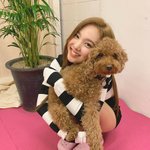 댕댕이보다 <b>나연</b>이 더 귀여운데?