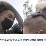 [댓글부탁해] 이번 수능 국어 난이도 어떨거같음?