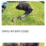 [19] 확실히 <b>세상</b>이 점점 야해지는것같음