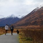 [알래스카] ALASKA " 깊어만 가는 가을 길목에서 "