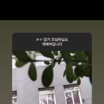 아니 이 아이돌 누구임?