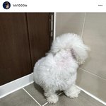 [NCT드림] 아이구ㅜㅜ 대갈이 털 잘랐네