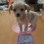 내 방에 진짜 귀신 있나봐….