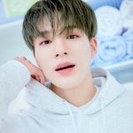 [NCT드림] ㅇㄴ 왤케 예쁨