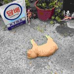 [19] 내 <b>체면</b> 어카냐..