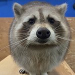 [댓글부탁해] <b>미드</b> 추천좀