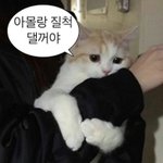 이딴 짤 보내면 차단ㄷ<b>겟지</b>