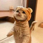 [방탄소년단] 다들 <b>스포</b>땜에 엄지손꾸락이 됐엌ㅋㅋㅋㅋㅋ