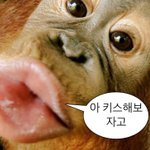 판녀들아 <b>치실</b>하고 살아라