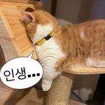 [댓글부탁해] 이게 무슨 경우일지 <b>추측</b> 좀