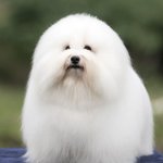 헐카톡 <b>복구</b> 이때된대
