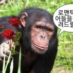 <b>중딩때</b> 알던 남자선배 팔로우했는데