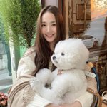 여기 강아지가 있네.jpg