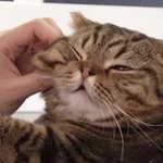 <b>박력</b>넘치는