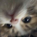 <b>스트릿</b>보이파이터 했으면 좋겠다