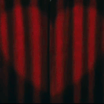 [모두드루와] 아이들 이번에 다시 커하 찍을듯