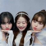 아이브 <b>네컷</b>