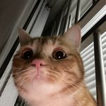 <b>사이드뱅</b>하고 고데기 안 하고 다니면 이상함?
