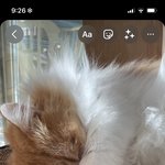 스토리에 이거 좀 <b>에바</b>?