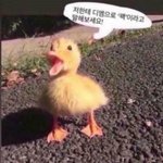 나 웨딩홀 서빙 <b>주방</b> 둘 다 해봣는데
