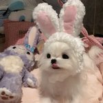 [19] 잘생긴 <b>인싸</b>랑 만나고왔는데