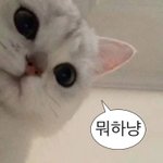 너네 <b>불닭</b> 하나로 배불러..?