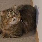 널 처음 <b>본</b><b>뒤</b>로