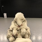 [엔하이픈] 엔<b>절미</b> 2주년 입니다