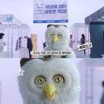 사실상 1회출연으로 2회분받아가는 혜자광고모델