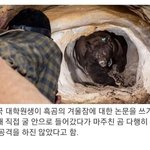 간이 배밖으로 나온 대학원생