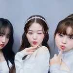 공포<b>즈</b>