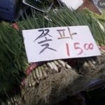너희 학교 문과 <b>이과</b> 비율
