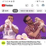 [스키즈] 라이언행님도 퍼피인터뷰 하셨네