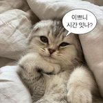 [댓글부탁해] 과거 생각나는 애들아