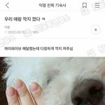 나만 둘이서 밥먹는거 ㅈㄴ <b>어색</b>하냐?ㅠ