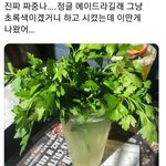 이미지 예시 그대로 나온 음료