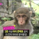 와 간만에 틱톡보면서 눈과 마음이 <b>정화</b>됐늠