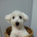 진 <b>이번</b> 솔로 티저에 전 솔로<b>곡</b> 3개 다 들어감