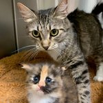 [댓글부탁해] 원래 알바 <b>첫날</b>은 다 못하는거야….?