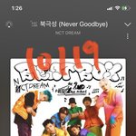 [NCT드림] 근데 우리 드림쇼 비하인드