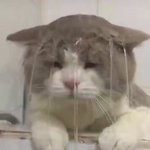 수시결과 때문에 12~2월에 정병와서